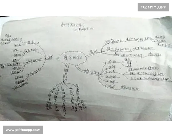 如何通过高效练习和策略提升快速成长为《最后神迹》顶尖高手的方法 如何通过高效练习和策略提升快速成长为《最后神迹》顶尖高手的方法