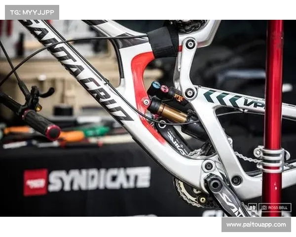 揭秘美国队直通世界杯的五大关键因素与背后深层动力解析